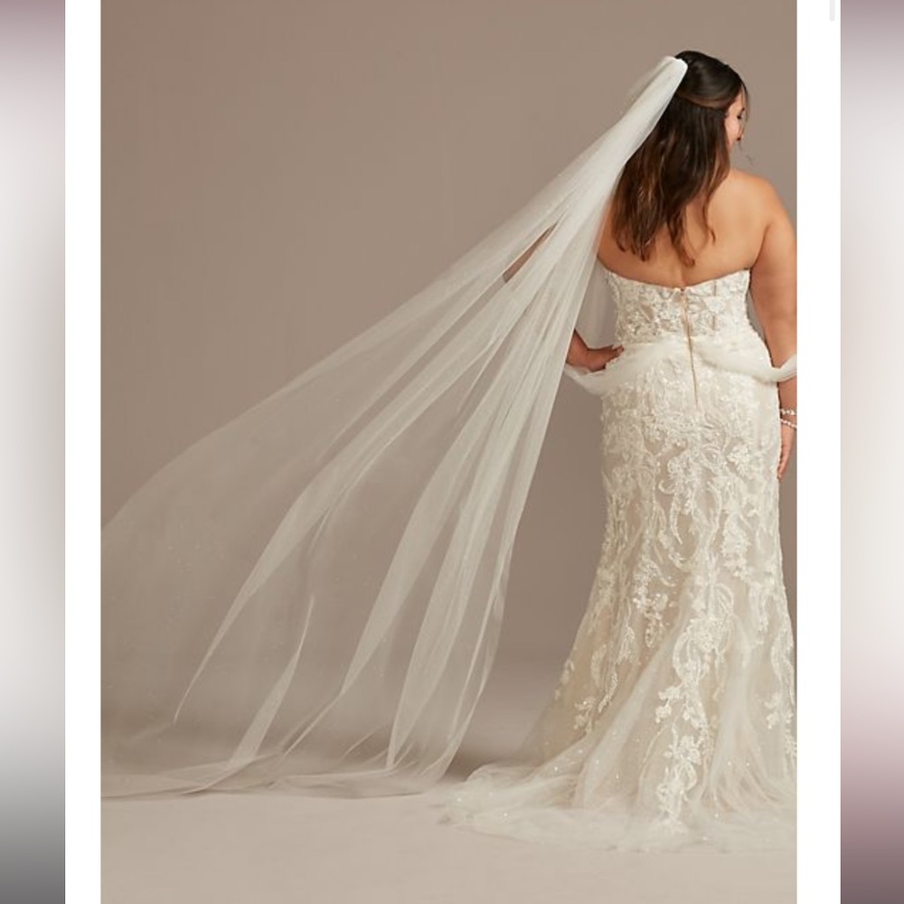 Ivory Cathedral Wedding Veil